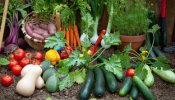 Садоводство и рецепты