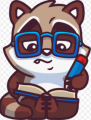 Reading_raccoon11