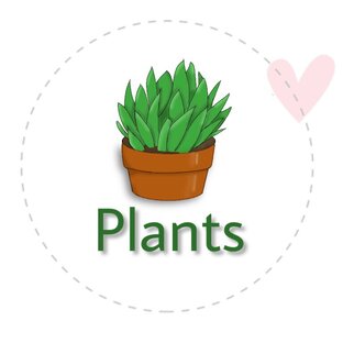 Plants  