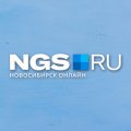 Нгс (новосибирск)